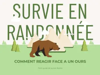 Comment réagir face à un ours: situations et solutions (infographie)