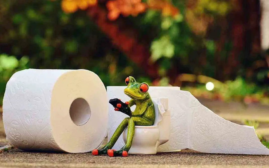 Où vider des toilettes sèches pour camping car