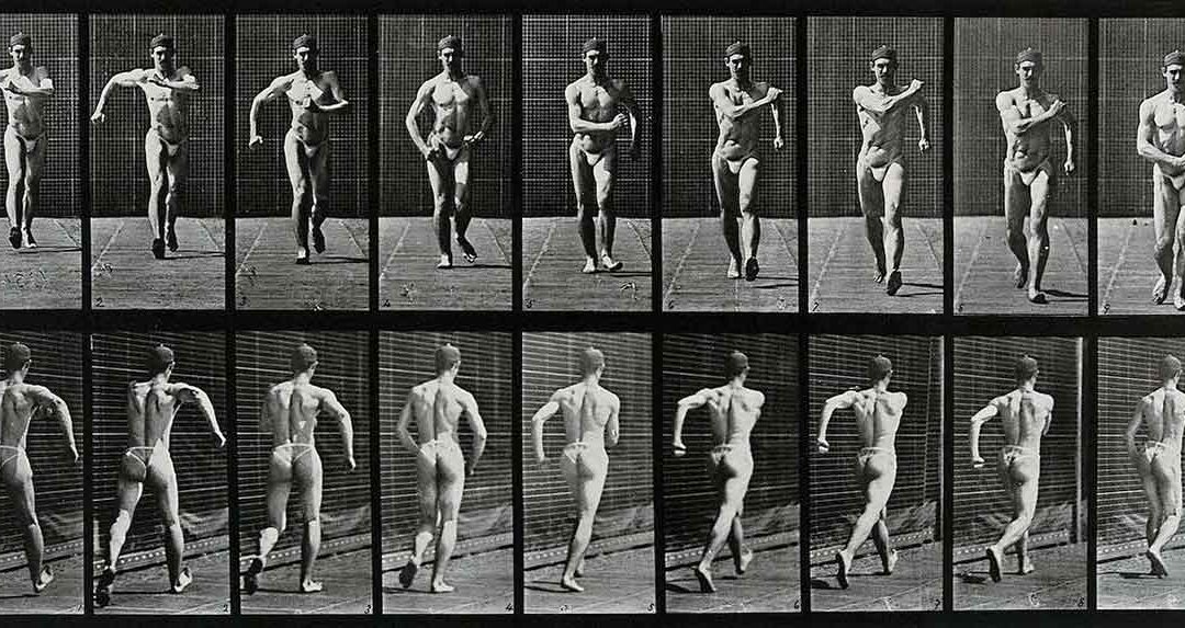 La marche rapide fait travailler quel muscle?