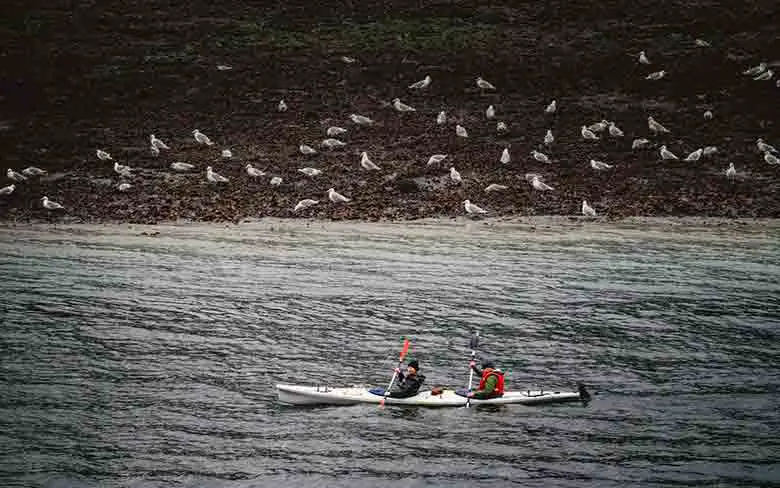 un couple faisant du kayak en mer d'alaska