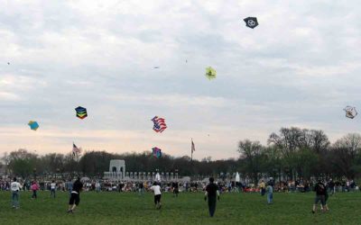 Tout sur les combats de cerf-volant