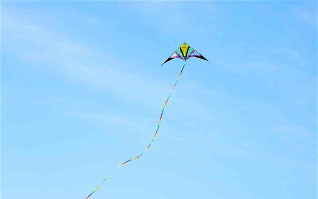 Comment piloter un cerf volant 2 lignes