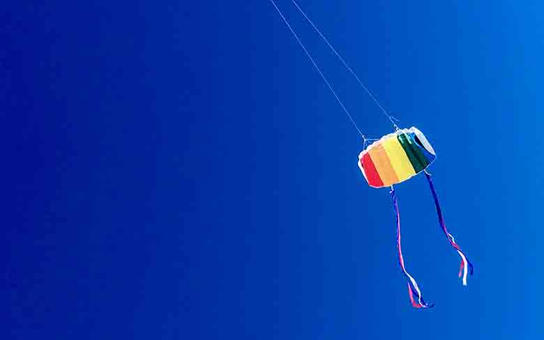 un cerf volant à voile souple