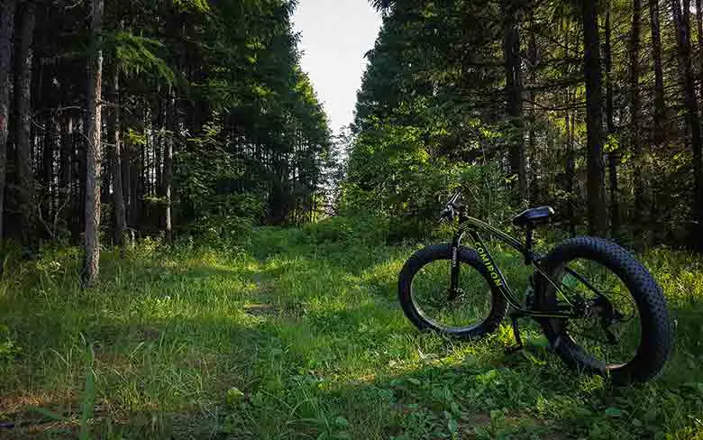 un fatbike en forêt